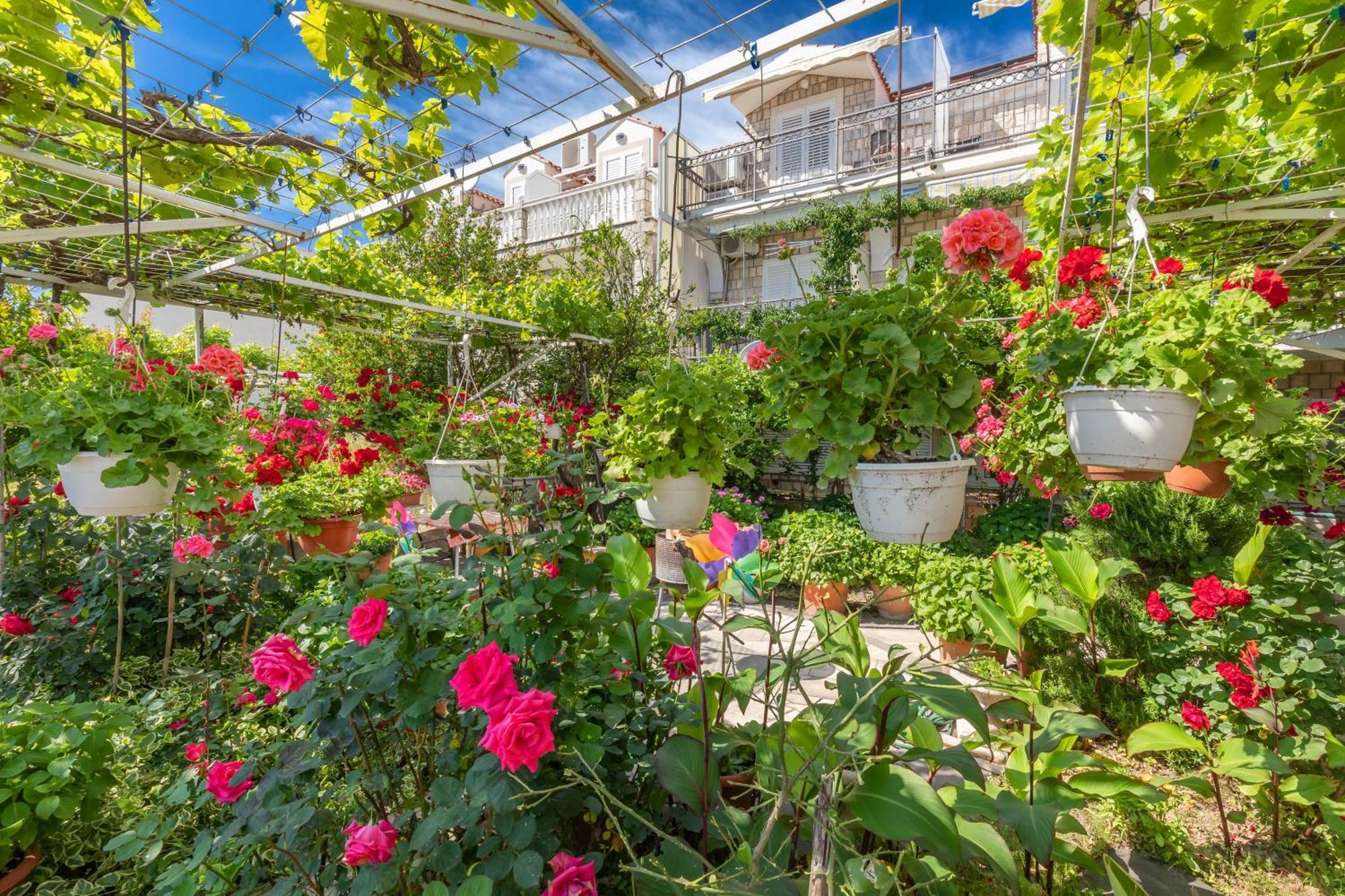 מליני Apartmani Galic 2 מראה חיצוני תמונה